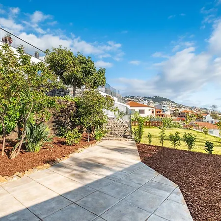 Atlantic Bloom By Homie Funchal (Madeira)