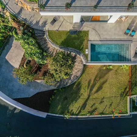 Atlantic Bloom By Homie