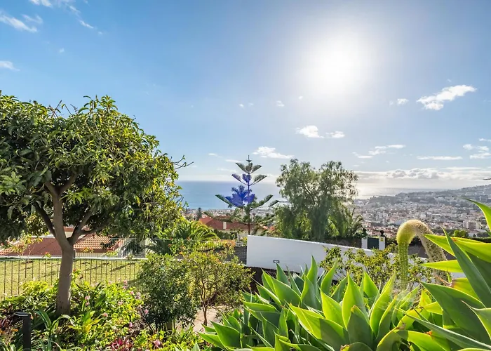 Atlantic Bloom By Homie * Funchal (Madeira)